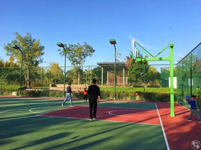 郑州周边免费景点，郑州最近免费旅游景点大全（不出郑州的8个赏花遛娃地）