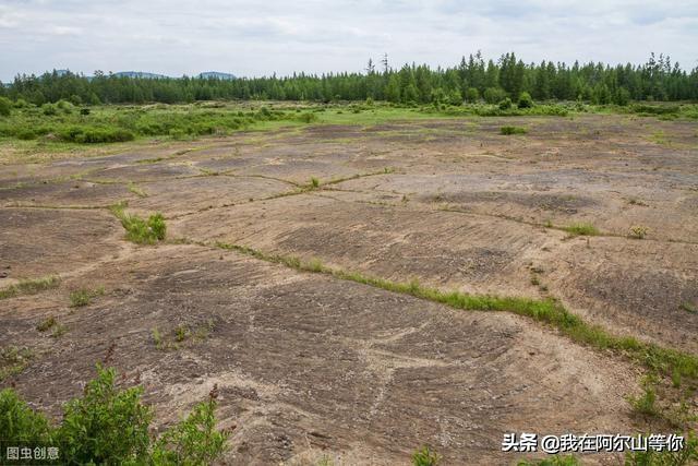 阿尔山旅游攻略，阿尔山旅游攻略大全自驾游（去过三次整理的注意事项）