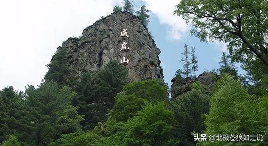 座山雕有何用处，70岁仍统领众匪
