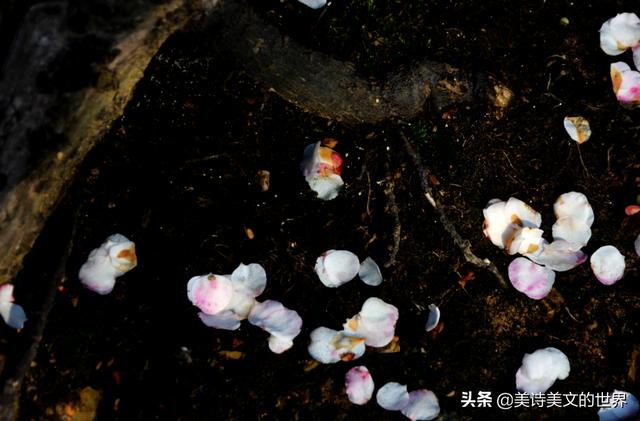 李煜最著名的10首词，李煜高水平之作