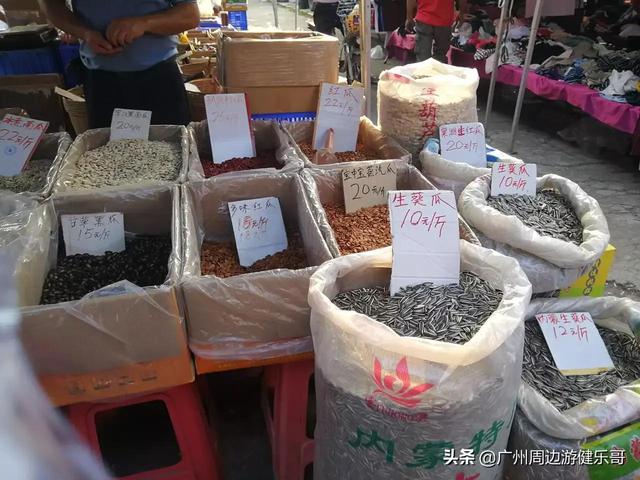 番禺化龙镇景区，快来pick你的“打卡点”吧