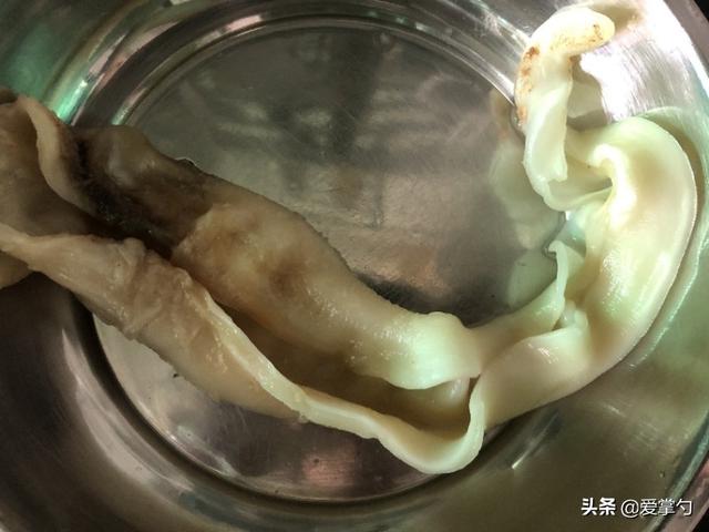  牛奶炖鱼胶放点什么好，家有鱼胶可以试试这样做
