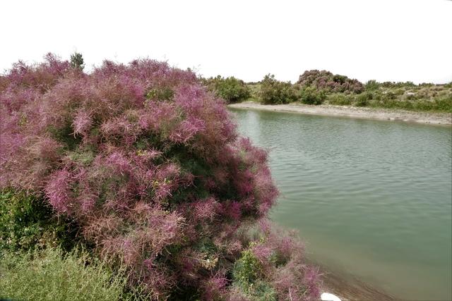 自由之旅挺进川藏线，男子偶遇独腿骑士勇闯318川藏线