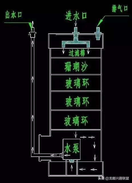 怎么样才能养好罗汉鱼，养殖罗汉鱼注意这5方面的饲养方法