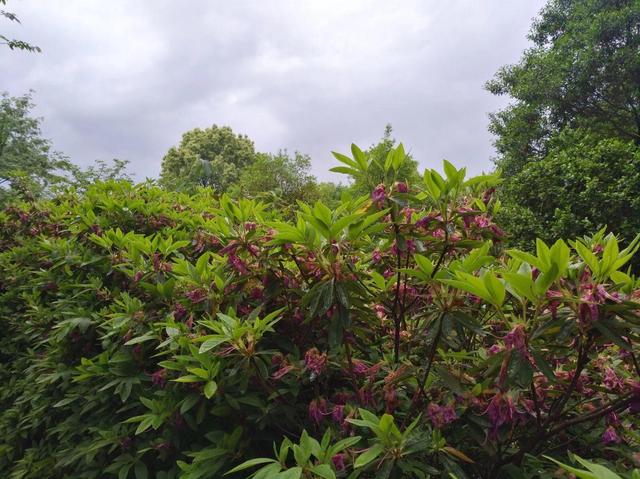 宁波雪窦山，宁波自驾游最佳去处