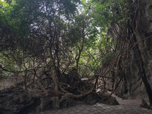 祖国真大第廿二天，黄果树三大景区介绍解说