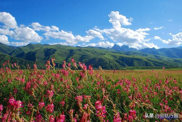 新都桥草原风景，新都桥—塔公草原—雅砻江河谷——迷人的夏季风光