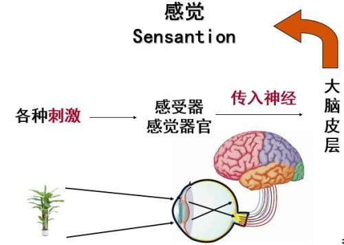 为什么总是习惯性崴脚，习惯性崴脚，做对四步即可