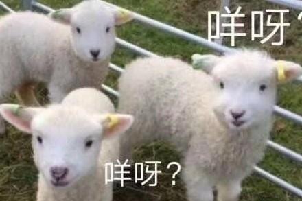 各个城市的别称，各个城市别称