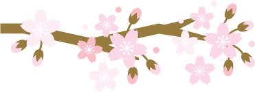 武汉大学的樱花，武汉大学赏樱花去哪里（报！武汉大学早樱开了）