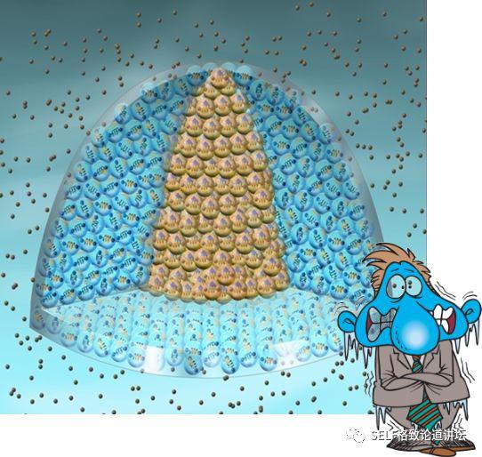 诺贝尔奖 超导，全国政协委员、中科院院士段文晖谈“室温超导材料”