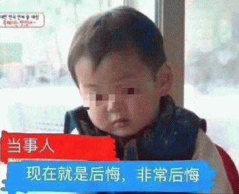 翻译器免费翻译各种语言，经常翻译的小伙伴不能错过这几款