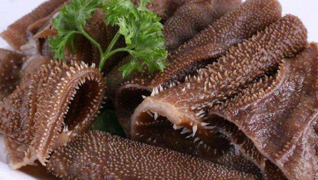 毛肚如何做脆嫩爽口，一学就会的毛肚做法