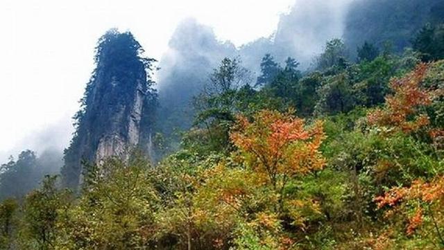 四川平昌县面积多少平方公里，四川各县区数据——巴中市下辖区县数据