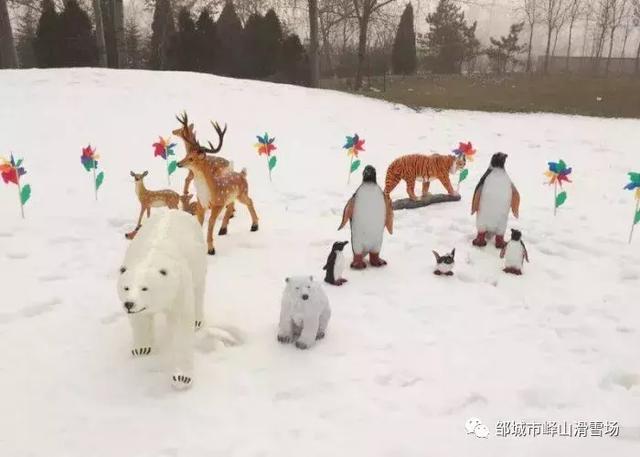 青州驼山滑雪场，青州驼山滑雪场需要准备什么