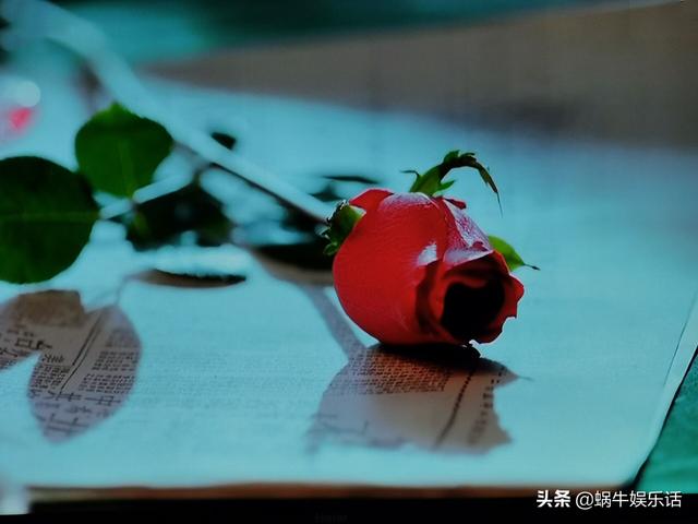 局中人剧情介绍，局中人结局剧情详细介绍