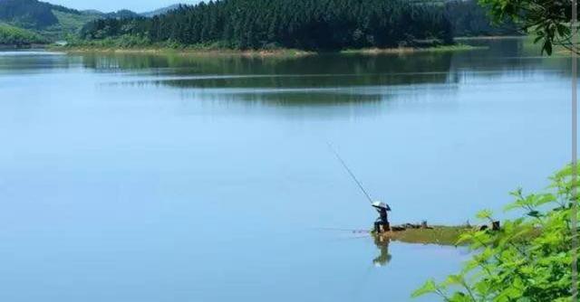 翘嘴的四种钓法，独家秘法钓翘嘴鲌