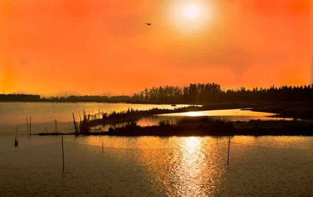 阜阳有什么好玩的地方景点，阜阳推荐旅游景点