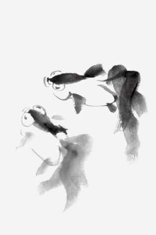 国画金鱼的画法步骤简单，张素贞老师的国画金鱼的详细过程图