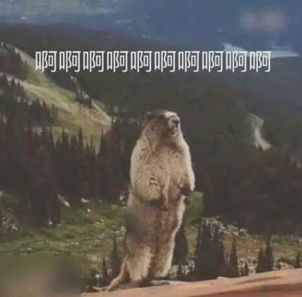 属鼠的都有哪些明星，请记住这些明星鼠