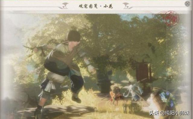 剑网三宠物游历图鉴，剑网3版旅行的青蛙