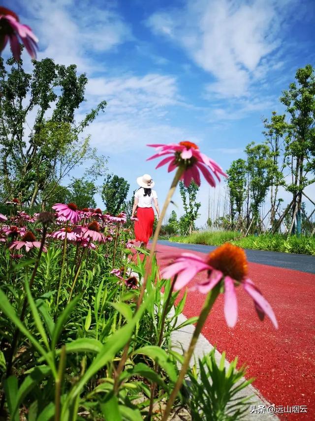 自拍杆使用方法大全，手把手教你使用自拍杆
