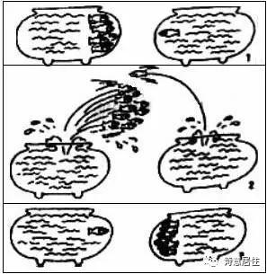 在线漫画阅读百年漫画网，有哪些让你发现新大陆的网站