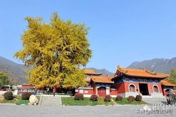 禹州值得去的景点，周末撒欢好去处