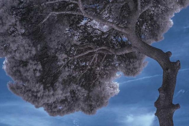 红外是怎么成像的，红外摄影入门全攻略