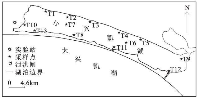 最新的华山湖湖水治理，厦门整改华山湖相关违规问题