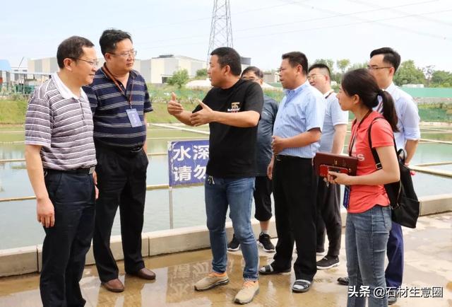 麻城全国五大花岗石之乡，湖北麻城有哪些花岗石