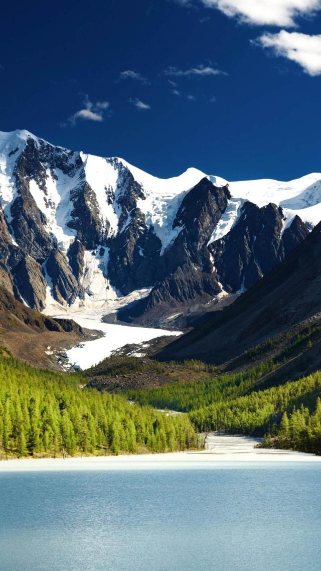 藜麦的作用与功效，藜麦的功效（藜麦作用和功效）