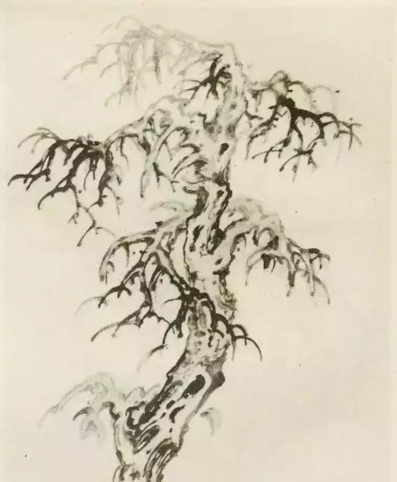 树怎么画简单又好看，如何画树简单又漂亮（水彩唯美风景画，手把手教你画）