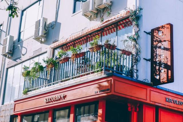 郑州周边免费景点，郑州最近免费旅游景点大全（不出郑州的8个赏花遛娃地）