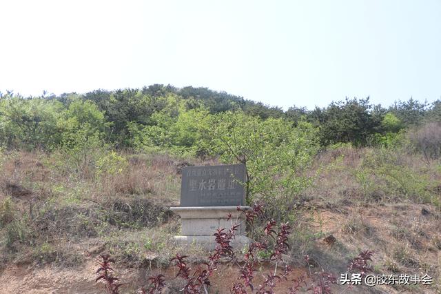 张庄真实历史故事，溯源张庄村史