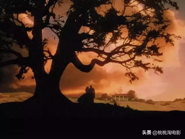 最值得看的电影，100部最值得看的电影名单（16部补充心灵能量的高分电影）