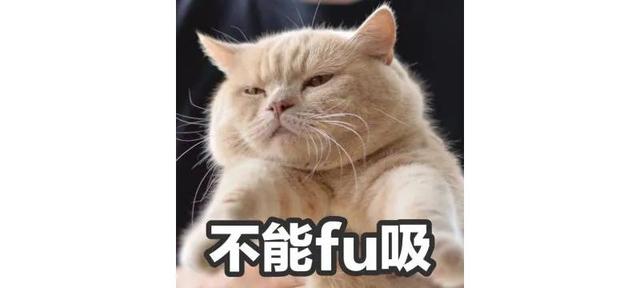 天津海昌极地海洋公园旅游攻略，带着孩子去看鱼