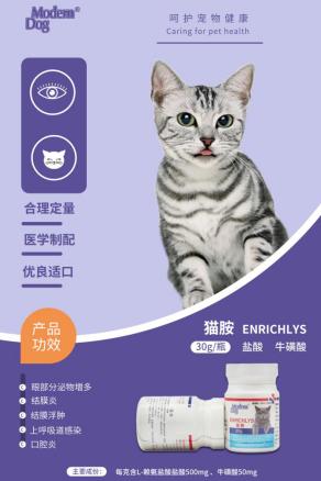 猫咪感染疱疹病毒有什么症状，猫咪得了疱疹病毒我们应该怎么办