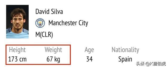 曼联 席尔瓦，深度解析曼城队魂大卫.席尔瓦的足球造诣