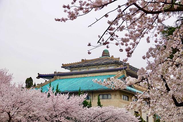 北航大学全国排行，北京市大学排行榜30强