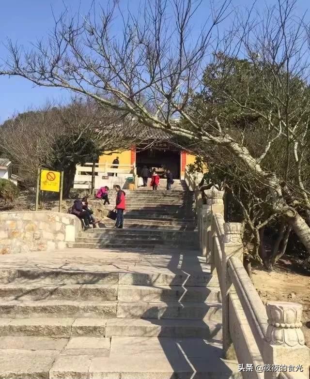 普陀山之行游记，六年普陀山之行感受