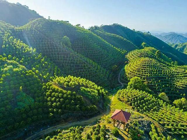 广东十座海拔最高的山，为什么都说广东人游广东先游广东第一峰