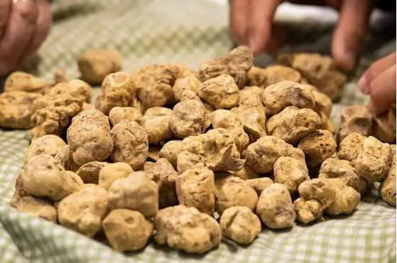 世界上最贵的零食，什么零食比较高级和贵（“零食界爱马仕”）