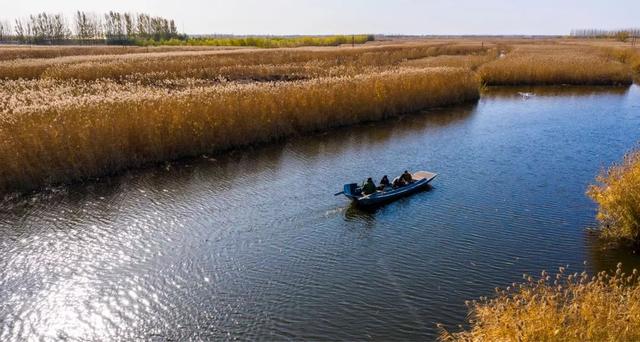 白洋淀冬天的生活，只有60来岁的人才会做……