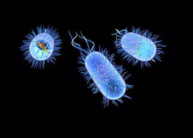 史前细菌存活350万年，远古细菌被复活