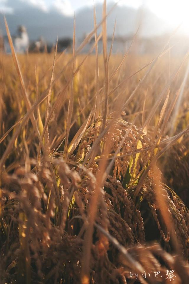 大理旅游拍照攻略三日游，分享一份2023最新的云南大理三日游旅游详细攻略