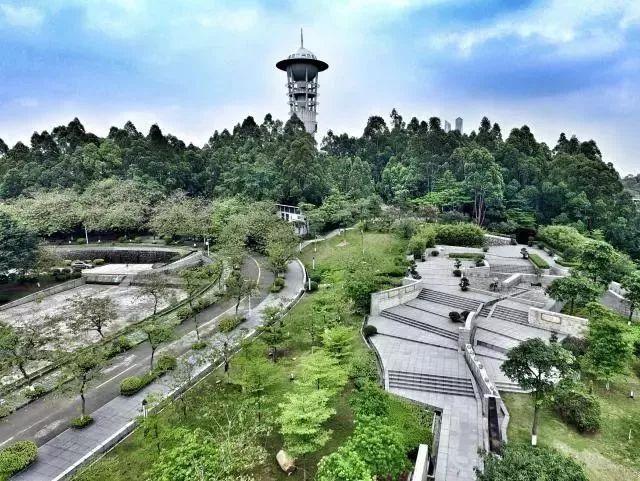 广东最好的大专，广东省最好的五间大专院校