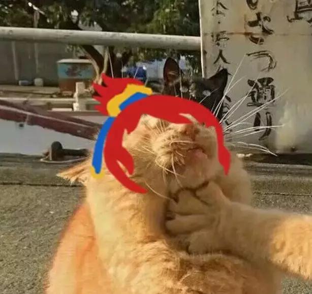 梦幻西游qq头像，梦幻西游手游人物q图（一组萌出天际的新系列头像）