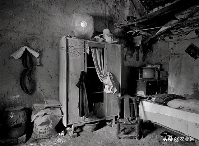 老歌经典大全80年代，盘点80年代经典老歌（80年代的那些老歌）