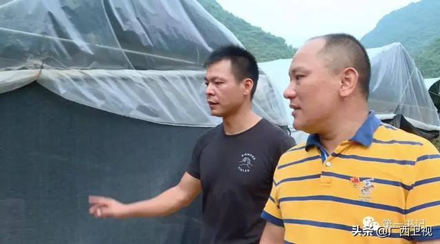 高精度卫星地图，卫星地图高清分辨率（城市高精地图应用开启）
